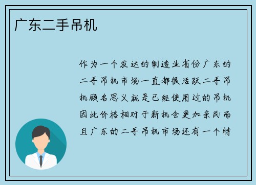 广东二手吊机