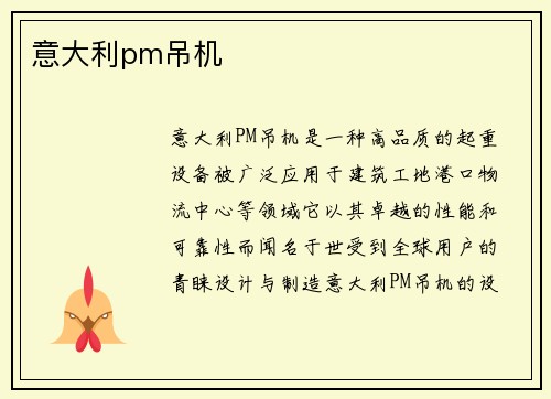 意大利pm吊机