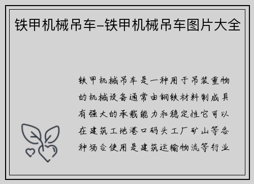 铁甲机械吊车-铁甲机械吊车图片大全